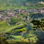 Blick auf Tramin von der Lungenfrisch, Gummerer Hof, Termeno, Tramin, Vogelperspektive
