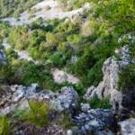 Weiße Riesen, Weiße Risen