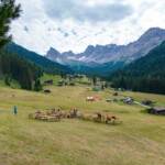 Almfest Festa Ta Mont, Almfest, Festa Ta Mont, Val San Nicolò