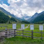 Almerlebnisweg im Pfossental, Eishof-Alm, Pfossental