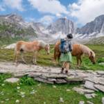 Anni mit Haflinger Pferde im Pfossental, Anni, Cima Bianca Grande, Haflinger, Hochweisse, Hochweiße, Hohe Weiße, Pferd, Pferde, Pfossental, Ross, cavallo, equino, horse