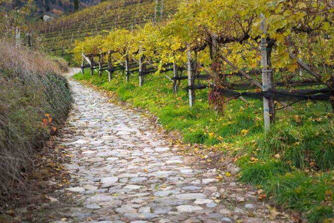 Saumpfad 33B von Therms zum Waalweg Marling