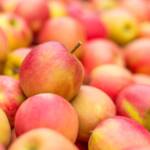 Äpfel – Pink Lady, Apfel, Pink Lady, Äpfel