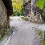 Bauernhof am Waalweg Marling, Bauerngehöft, Bauernhaus, Bauernhof, Gehöft, Gehöfte, Hof, Hofstelle, Marlinger Waalweg, cascina, farm, farm building, farmstead, fattoria, grange, homestead, masseria
