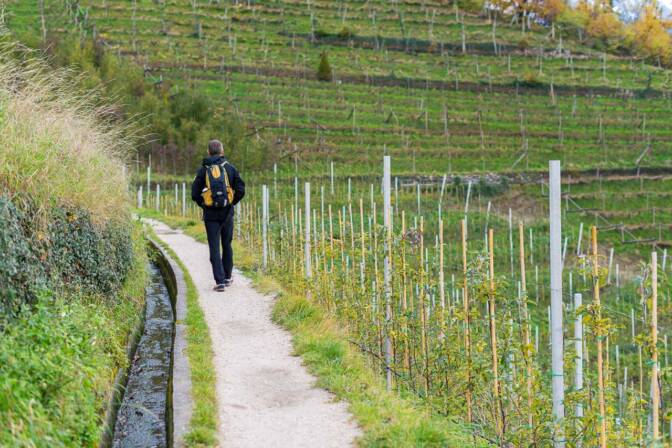 Waal am Waalweg Marling