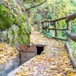 Wassersperre am Waalweg Marling, Herbst, Marlinger Waalweg, Waalweg, Wassersperre, Zaun, autumn, autunno