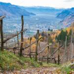 Waalweg Höhenweg mit Blick auf Lana, Burggrafenamt, Etschtal, Lana, Marlinger Höhenweg