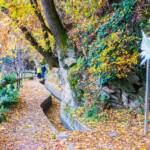Waalweg Marling, Herbst, Marlinger Waalweg, Waal, Waalweg, autumn, autunno