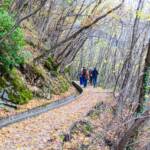 Spaziergänger Waalweg Marling, Herbst, Marlinger Waalweg, Spaziergänger, Waal, Waalweg, autumn, autunno