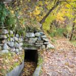 Marlinger Waalweg, Herbst, Marlinger Waalweg, Waalweg, autumn, autunno