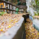 Waalweg Marling, Herbst, Marlinger Waalweg, Waalweg, autumn, autunno