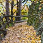 Wanderweg am Waalweg Marling, Blätter, Herbst, Wanderweg, autumn, autunno, sentiero
