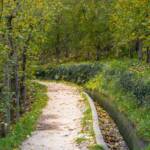 Waalweg Marling, Marlinger Waalweg, Waalweg