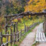 Waalweg Marling, Herbst, Marlinger Waalweg, autumn, autunno