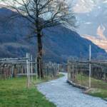 Angelbach, Angelbach