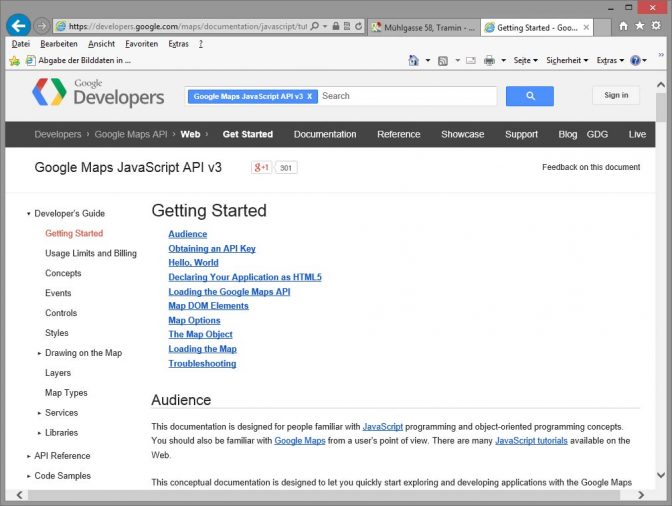 Google Maps API