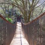 Hängebrücke in Altenburg auf dem Weg zur Ruine St. Peter, Altenburg, Hängebrücke