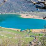 Kalterer See im Süden Südtirols, Kalterer See, Kalterersee, Residence Roland