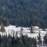 Petersberger Leger Alm, Alm, Matte, Petersberger Leger, Petersberger Leger Alm, Weide