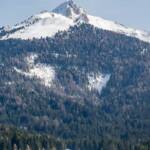Weißhorn und Petersberger Leger Alm, Alm, Corno Bianco, Matte, Petersberger Leger, Petersberger Leger Alm, Weide, Weisshorn, Weißhorn