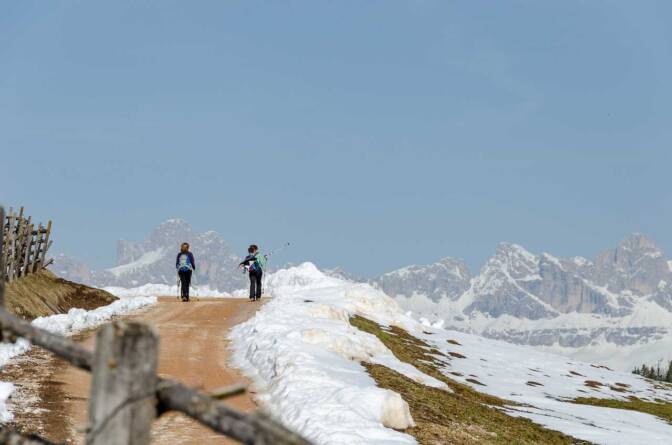 Walking mit Blick auf den Rosengarten