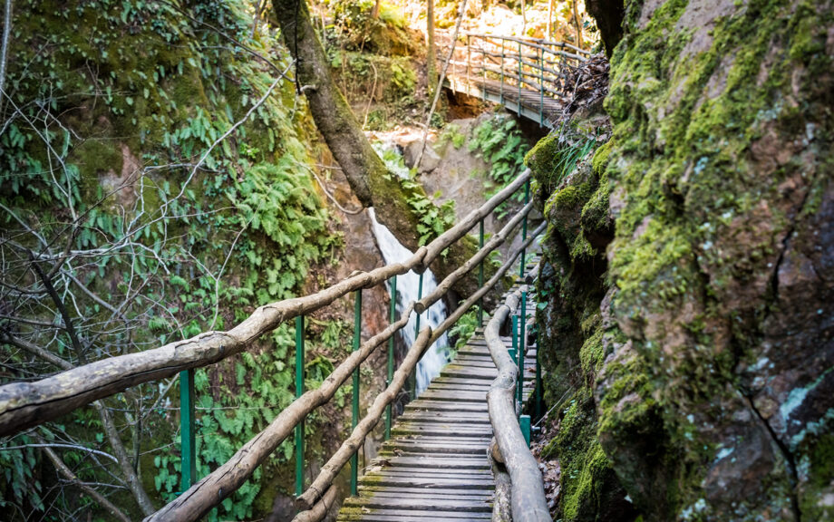 Rastenbachklamm Brücke