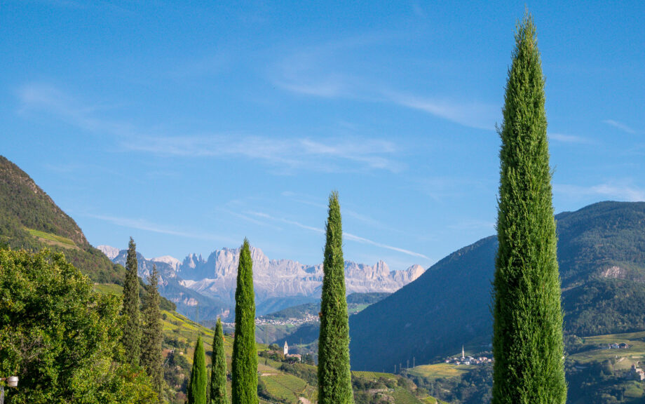 Blick auf den Rosengarten vom Ende der Oswaldpromenade aus gesehen