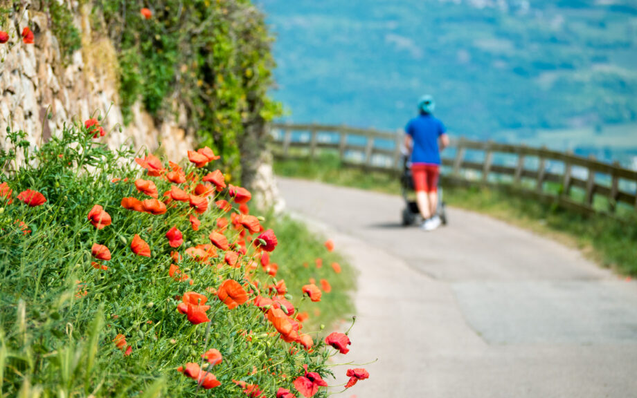 Spaziergang Runggnerweg