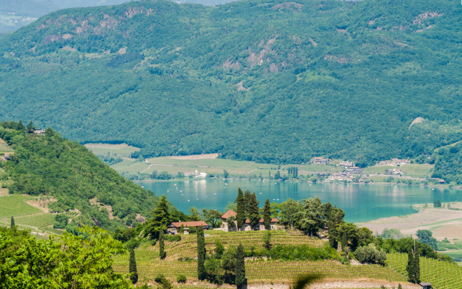 Weinberg Kastelaz mit Kalterer See