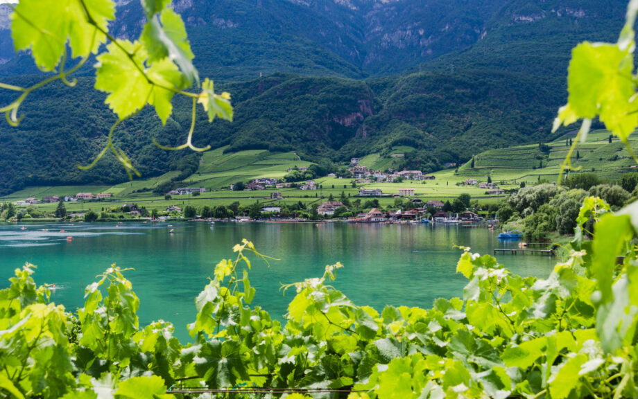 Kalterer See Blick zum Westufer