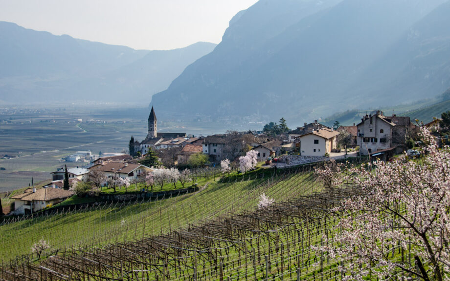 Kurtatsch im Frühling