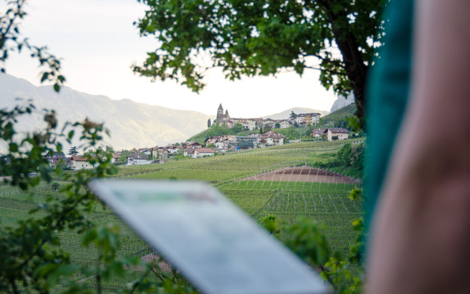 Naturerlebnisweg Tramin