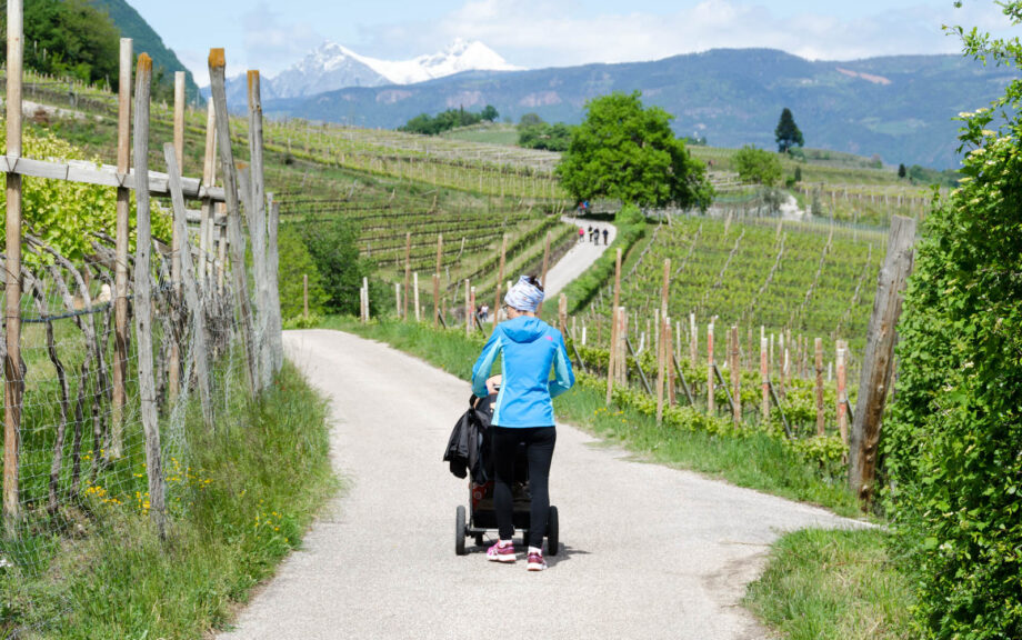 Kinderwagen tauglicher Spazierweg von St. Josef am See nach Kaltern Dorf