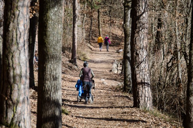 Spazieren im Montiggler Wald rund um den Kleinen Montiggler See