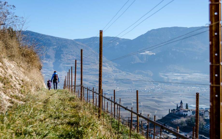 spazieren im Weinberg