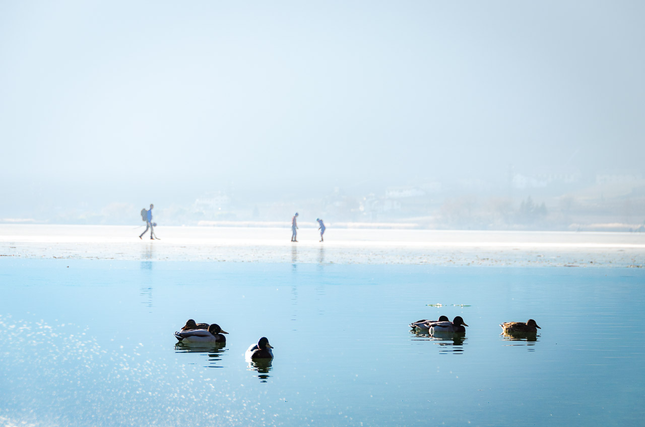 gefrorener Kalterer See