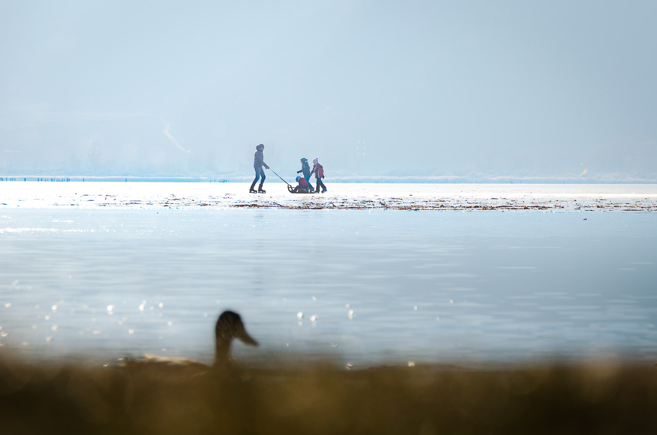 teilweise gefrorener Kalterer See mit Blick nach Tramin
