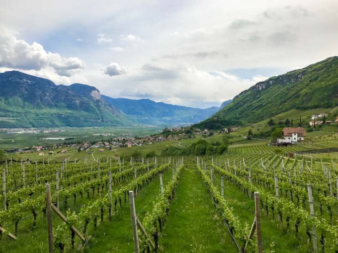 20170417145236-IMG_2550