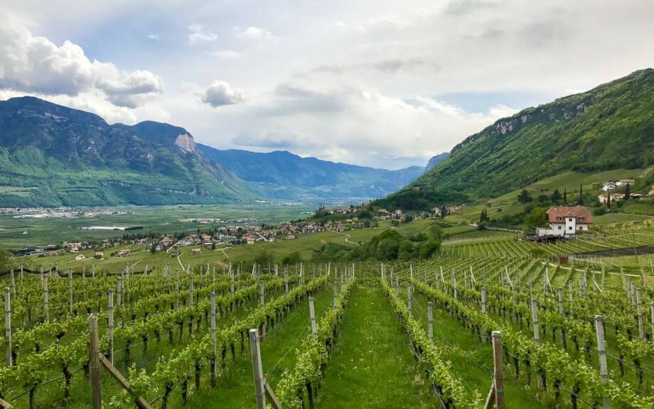 20170417145236-IMG_2550