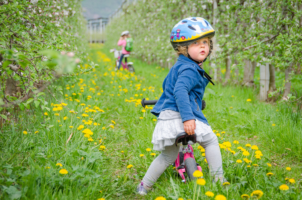 Radfahren in der Blüte
