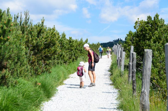 Durch Latschen hindurch, so beginnt unser Wandertag auf der Villanderer Alm