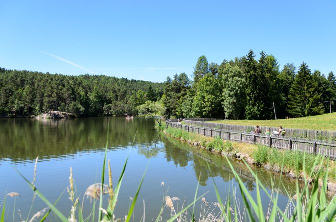 Rund um dem Wolfsgruber See spazieren