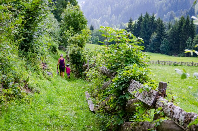 Karrenweg in St. Walburg im Ultental