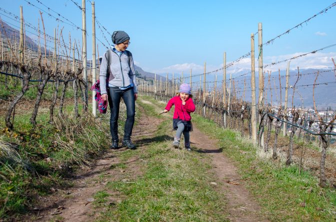 Durch die "Leitn" - auf dem Gewürztraminer Weinweg