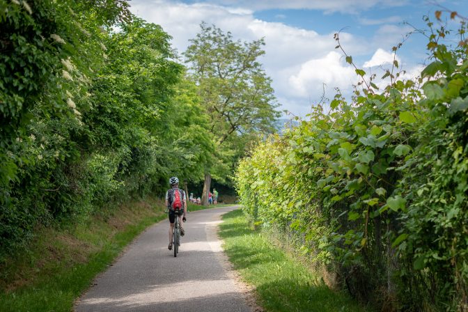 Radweg und Promenade zwischen Kaltern und Eppan