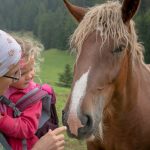 Pferd