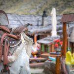 Alm Pranter Stadlhütte