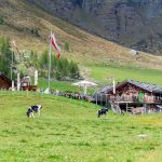 Pranter Stadl Hütte