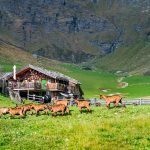 Pranter Stadl Hütte