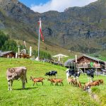 Pranter Stadl Hütte